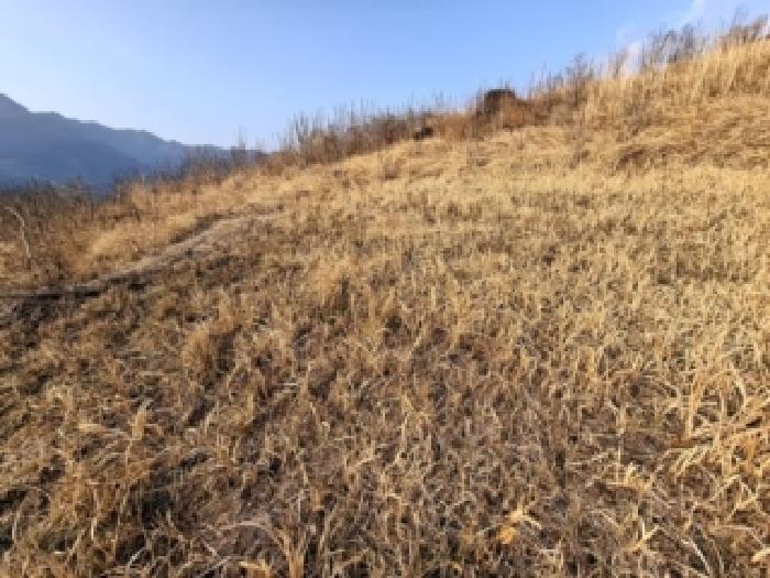 경남 하동군 악양면 임야 경매 물건 사진 5 · 2026타경64