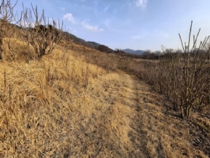 경남 하동군 악양면 임야 경매 물건 사진 6 · 2026타경64
