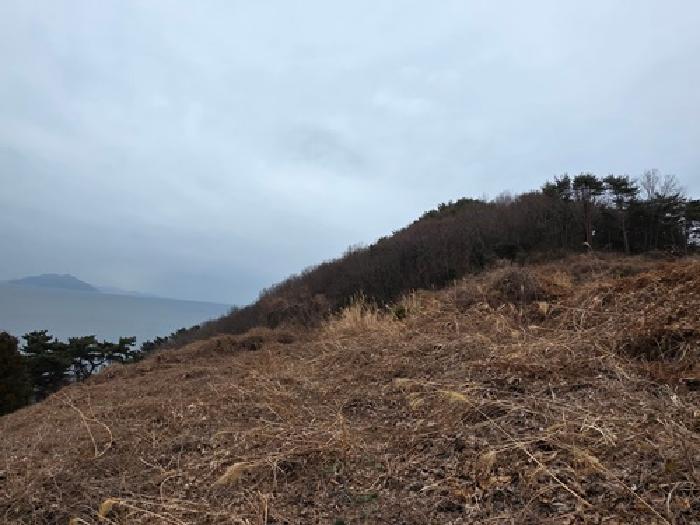 경남 남해군 삼동면 임야 경매 물건 사진