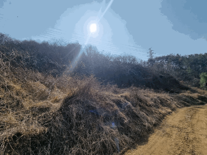 경남 진주시 미천면 임야 경매 물건 사진 6 · 2026타경98