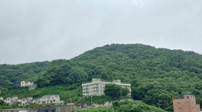 경남 거제시 연초면 임야 경매 물건 사진