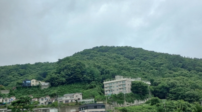 경남 거제시 연초면 임야 경매 물건 사진 2 · 2024타경26416