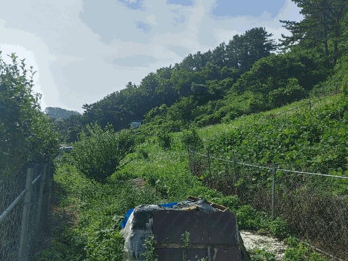 경남 통영시 평림동 전 경매 물건 사진 3 · 2024타경26454