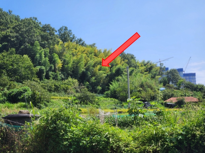 경상남도 거제시 연초면 송정리 산44-9 임야 경매 물건 사진