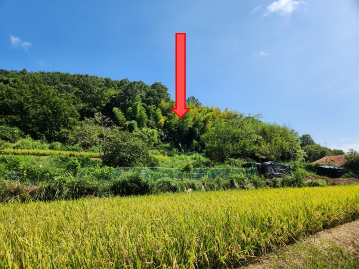 경남 거제시 연초면 임야 경매 물건 사진 6 · 2024타경28597