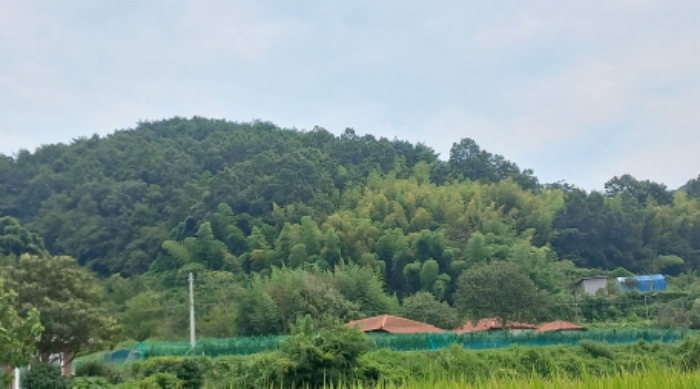 경남 거제시 연초면 임야 경매 물건 사진