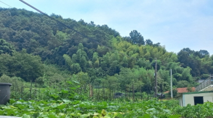 경남 거제시 연초면 임야 경매 물건 사진 4 · 2024타경28597