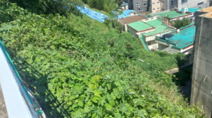 경남 거제시 장승포동 임야 경매 물건 사진 5 · 2024타경28795
