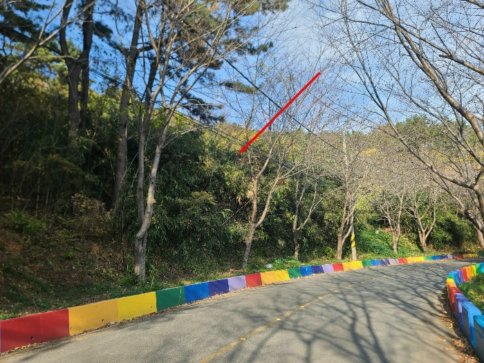 경상남도 고성군 하이면 와룡리 497 답 경매 물건 사진