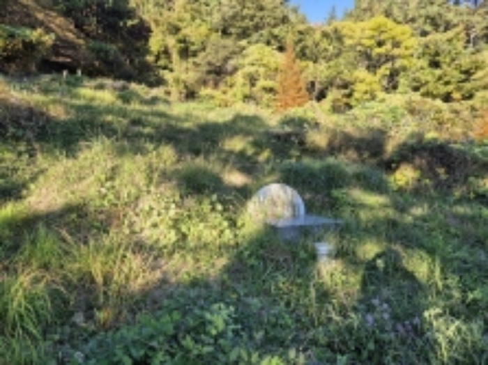 경남 고성군 하이면 답 경매 물건 사진 5 · 2024타경31173