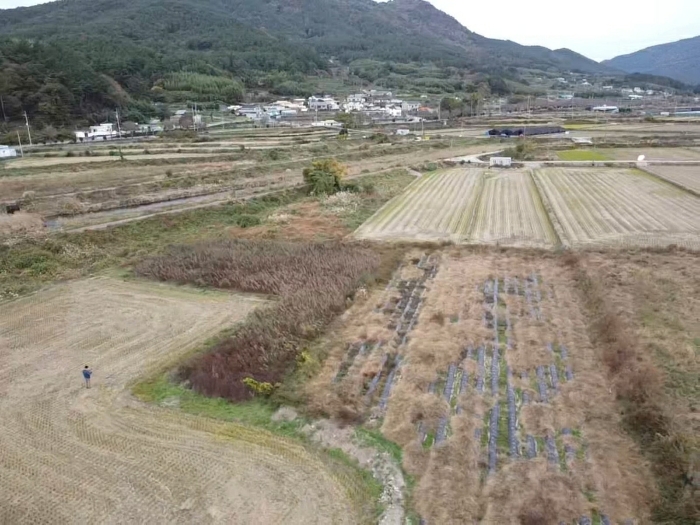경남 거제시 둔덕면 답 경매 물건 사진 6 · 2024타경31258