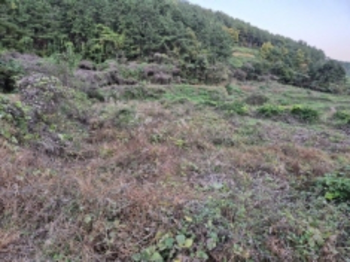 경남 고성군 하이면 답 경매 물건 사진 3 · 2024타경31302