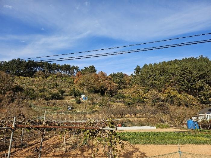 경남 거제시 사등면 전 경매 물건 사진