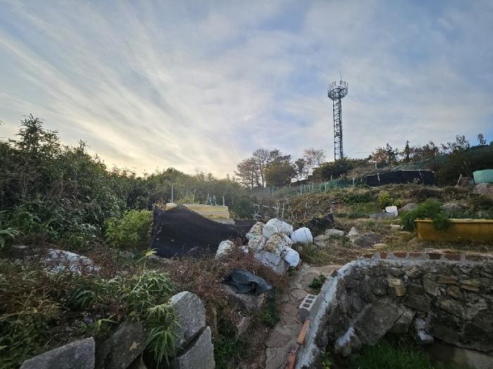 경남 거제시 사등면 전 경매 물건 사진 6 · 2024타경32367