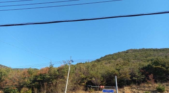 경남 거제시 연초면 전 경매 물건 사진 2 · 2024타경32435