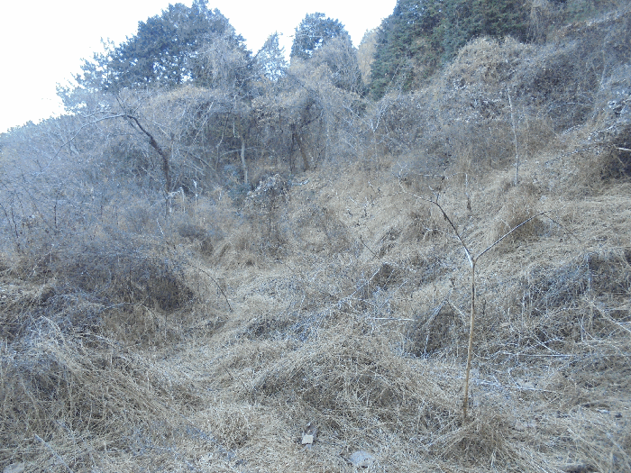 경상남도 통영시 도산면 오륜리 180 전 경매 물건 사진