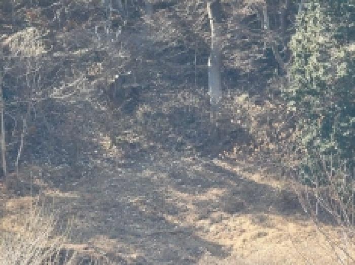 경남 통영시 도산면 전 경매 물건 사진