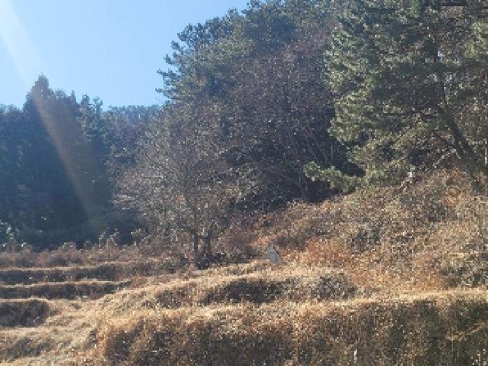 경남 통영시 도산면 전 경매 물건 사진 2 · 2024타경32756