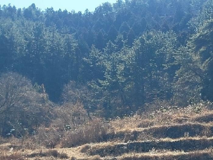 경남 통영시 도산면 전 경매 물건 사진 6 · 2024타경32756