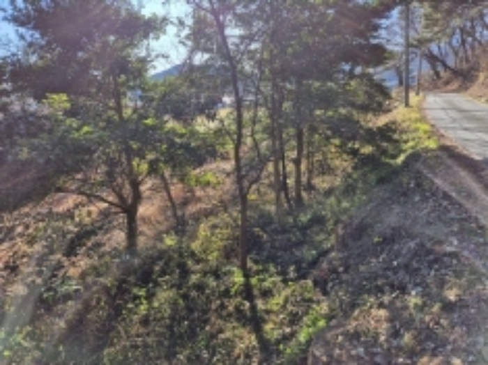 경남 고성군 대가면 답 경매 물건 사진 4 · 2024타경5402