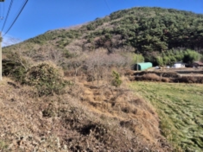 경남 고성군 대가면 답 경매 물건 사진 6 · 2024타경5402