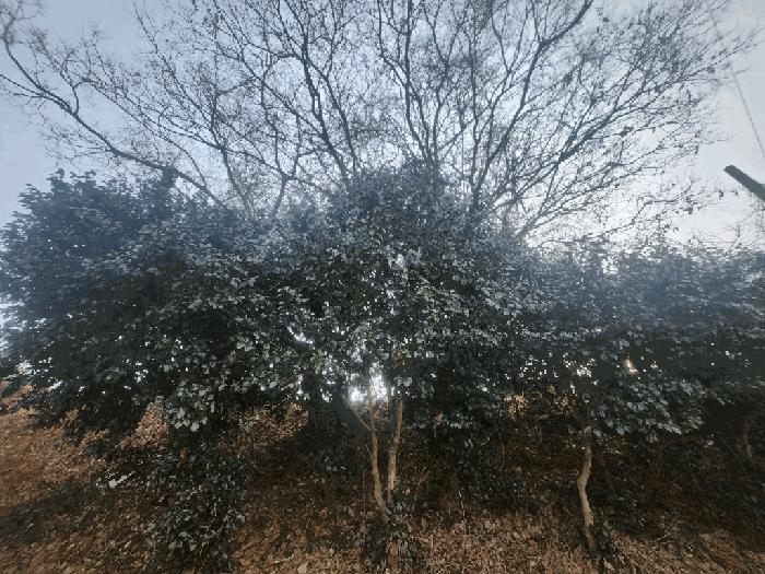 경남 통영시 도산면 답 경매 물건 사진 4 · 2025타경114