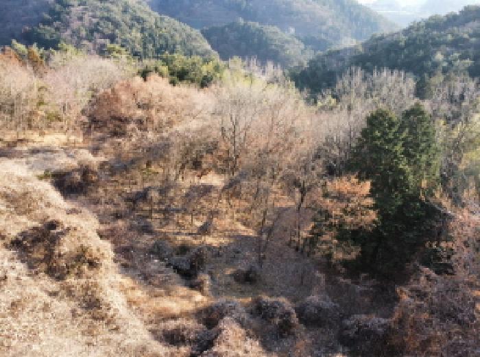 경남 거제시 연초면 임야 경매 물건 사진 6 · 2025타경20057