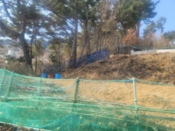 경남 통영시 북신동 단독주택다가구 경매 물건 사진 6 · 2025타경206