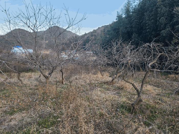 경남 통영시 도산면 전 경매 물건 사진 5 · 2025타경21032