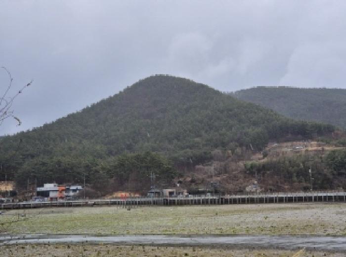 경남 고성군 삼산면 임야 경매 물건 사진 2 · 2025타경21088