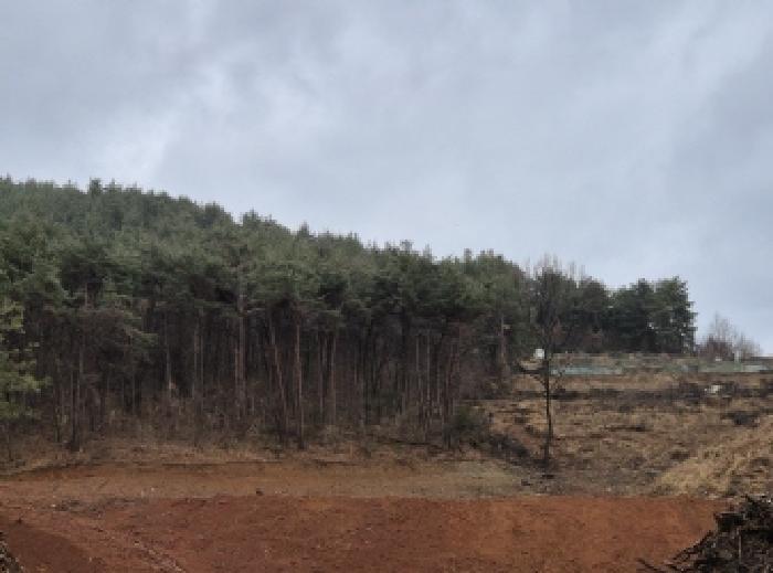 경남 고성군 삼산면 임야 경매 물건 사진 3 · 2025타경21088