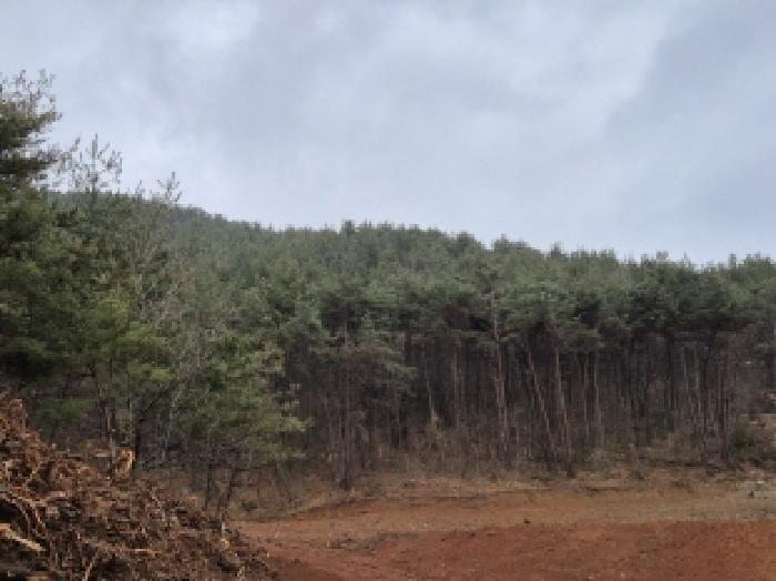 경남 고성군 삼산면 임야 경매 물건 사진 5 · 2025타경21088