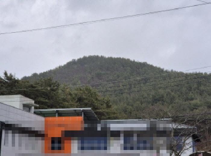 경남 고성군 삼산면 임야 경매 물건 사진 6 · 2025타경21088