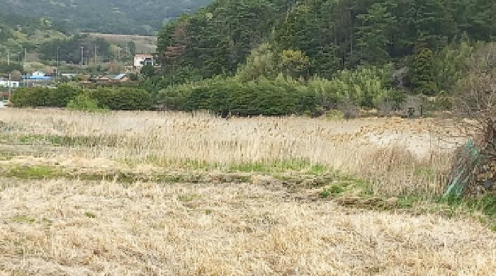 경남 거제시 남부면 답 경매 물건 사진 6 · 2025타경21208