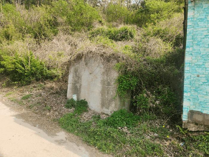 경남 거제시 연초면 답 경매 물건 사진 5 · 2025타경21219