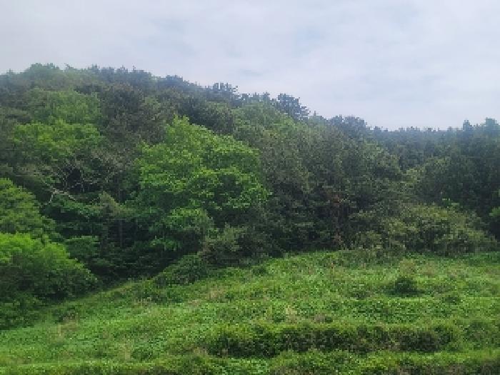 경남 통영시 산양읍 전 경매 물건 사진 2 · 2025타경21263