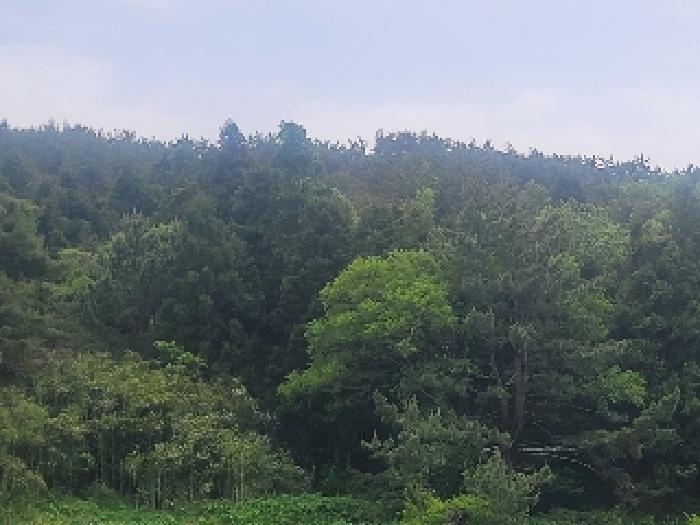 경남 통영시 산양읍 전 경매 물건 사진 3 · 2025타경21263
