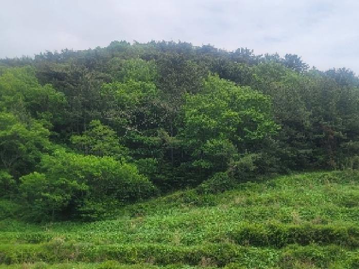 경남 통영시 산양읍 전 경매 물건 사진
