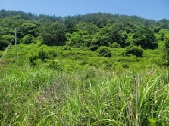 경남 통영시 사량면 임야 경매 물건 사진 2 · 2025타경21266