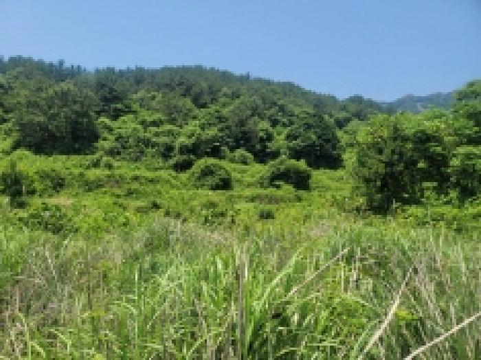 경남 통영시 사량면 임야 경매 물건 사진 3 · 2025타경21266