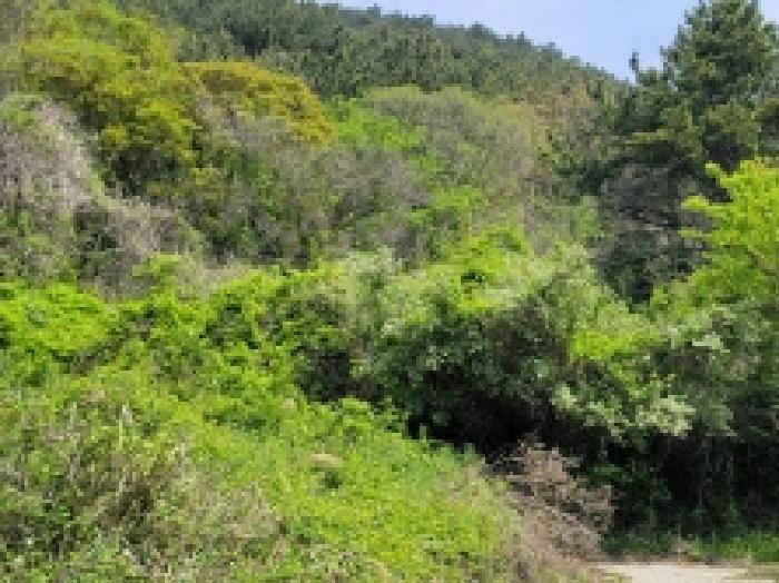 경남 통영시 한산면 답 경매 물건 사진 4 · 2025타경21287