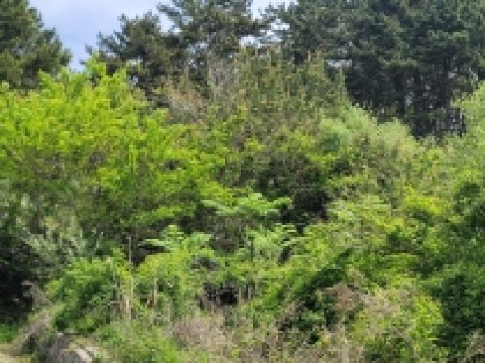 경남 통영시 한산면 답 경매 물건 사진 5 · 2025타경21287