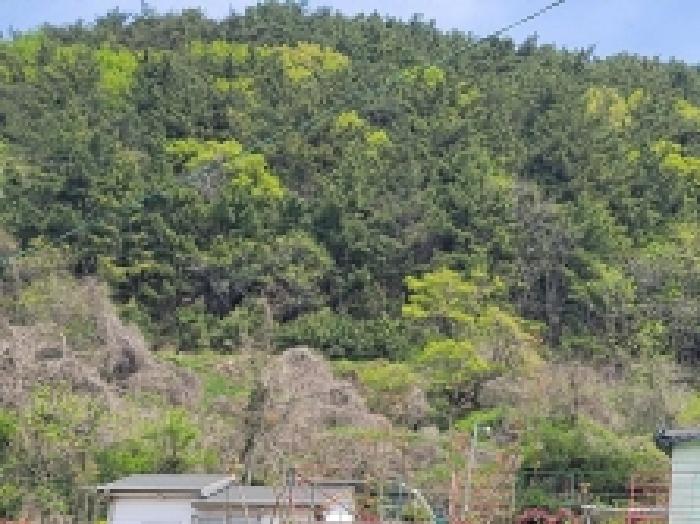 경남 통영시 한산면 답 경매 물건 사진 6 · 2025타경21287