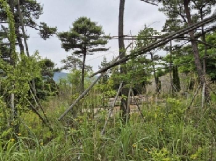 경남 고성군 동해면 대지,임야,전답 경매 물건 사진 5 · 2025타경21290