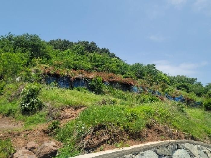경남 거제시 연초면 답 경매 물건 사진 3 · 2025타경21296