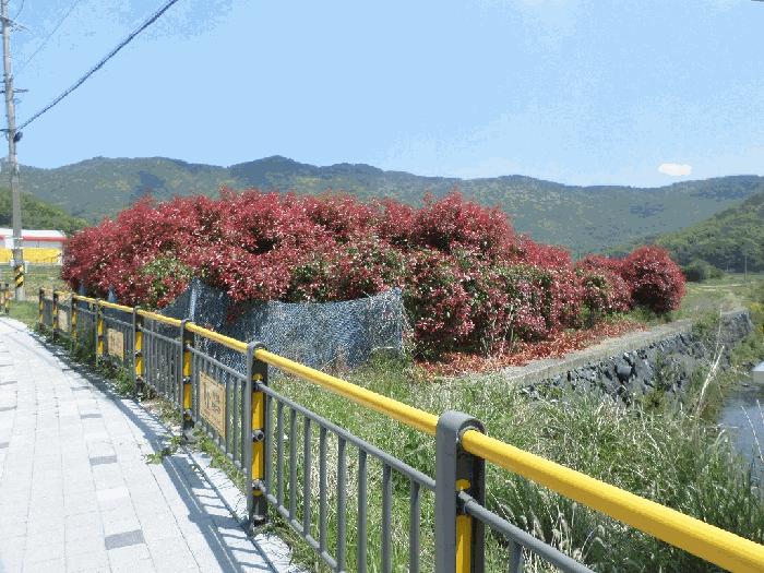 경남 거제시 연초면 답 경매 물건 사진 6 · 2025타경21296