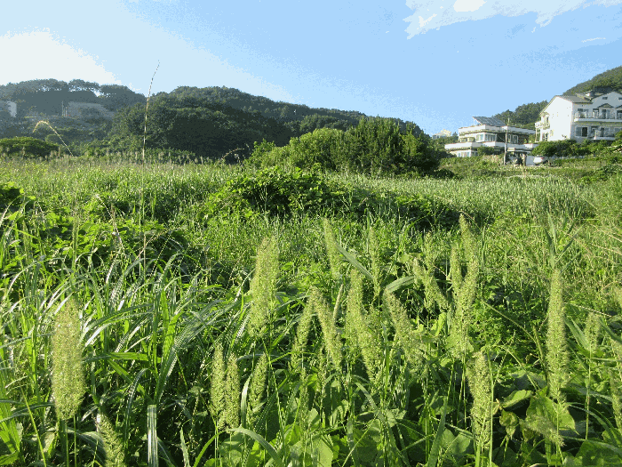 경남 거제시 일운면 답 경매 물건 사진 4 · 2025타경21430