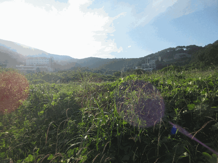 경남 거제시 일운면 답 경매 물건 사진 5 · 2025타경21430