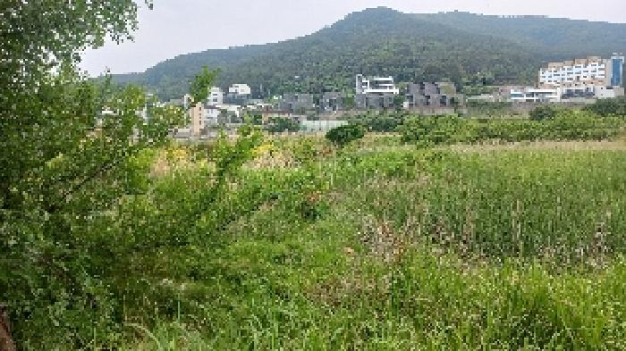 경남 거제시 일운면 답 경매 물건 사진