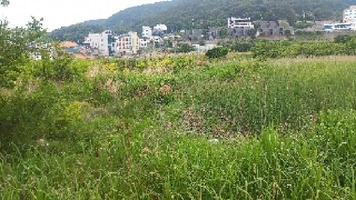 경남 거제시 일운면 답 경매 물건 사진 2 · 2025타경21430